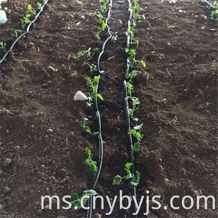 Drip Irrigation 93